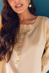 2 Pc Details on Sleeves & Button on Placket - Janaan Clothing