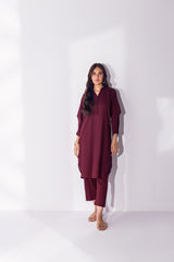 2 Pc Details on Sleeves with Round Daman & Loops Button on Neckline - Janaan Clothing