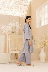 2PC Grey Luxe Cotton Solid Stitched Suit - Janaan Clothing